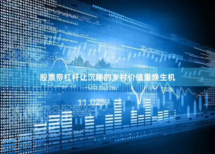 股票带杠杆让沉睡的乡村价值重焕生机