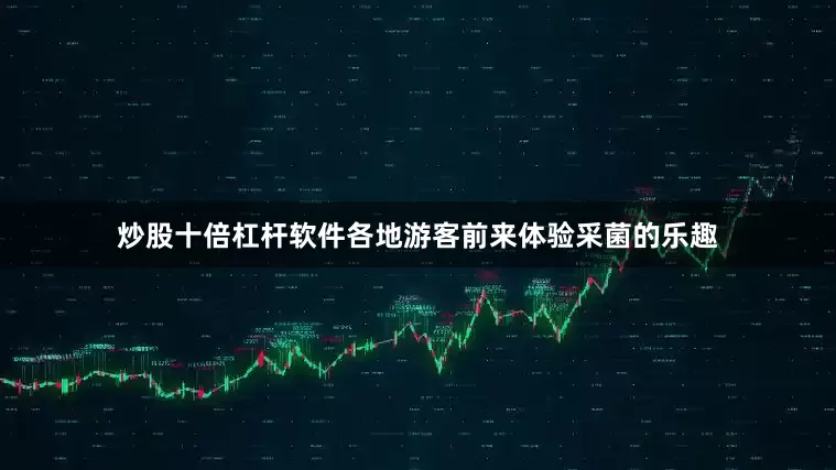炒股十倍杠杆软件各地游客前来体验采菌的乐趣
