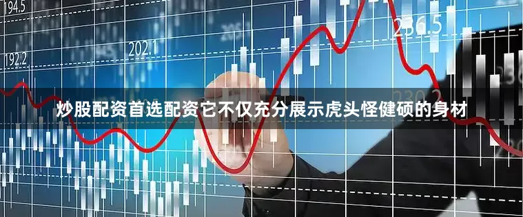 炒股配资首选配资它不仅充分展示虎头怪健硕的身材