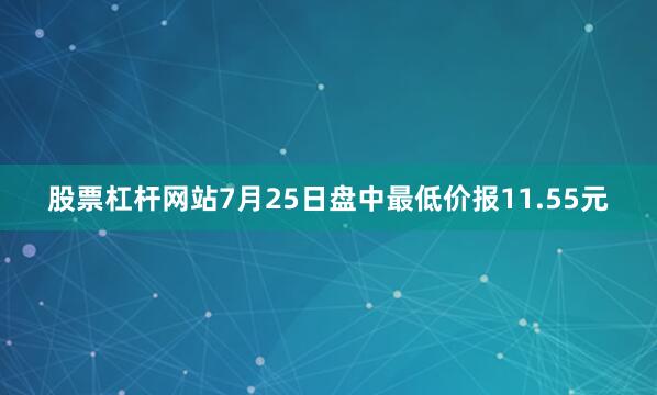 股票杠杆网站7月25日盘中最低价报11.55元