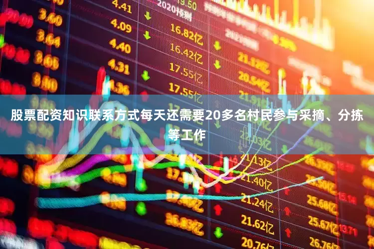 股票配资知识联系方式每天还需要20多名村民参与采摘、分拣等工作