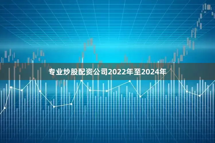 专业炒股配资公司2022年至2024年